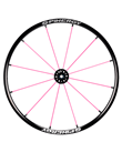 Spinergy Lite Extreme LX 12 pink spokes