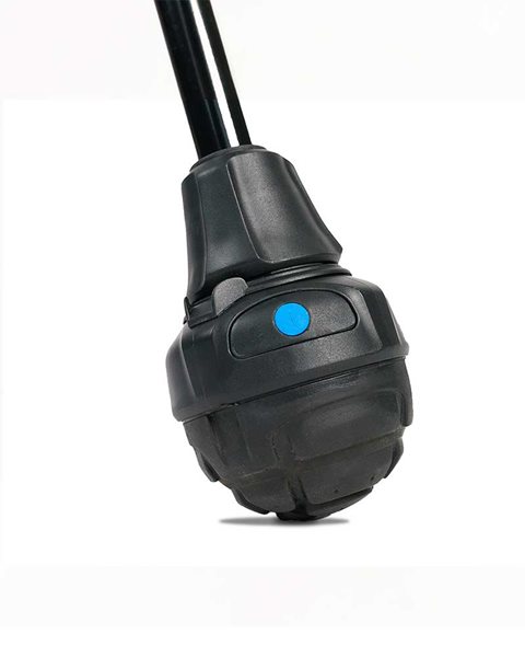 315901 Schine Walk medium