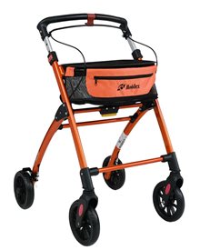 317410 Jaguar LIGHT orange 1