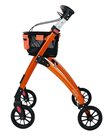 317410 Jaguar LIGHT orange 2