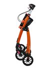 317410 Jaguar LIGHT orange 3