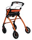 317410 Jaguar LIGHT orange 4