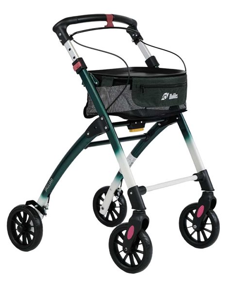 317417 Jaguar LIGHT green/white 1