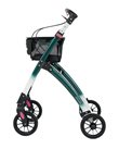 317417 Jaguar LIGHT green/white 2