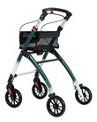 317417 Jaguar LIGHT green/white 4